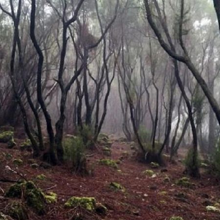 La Casita De Descanso - Das Haeuschen Der Ruhe - La Luz - ラ・オロタバ エクステリア 写真